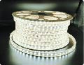 MA-50x60-220-60, 50MTS MANGUERA 220V, 60X5050, 9W/M, IP65, 6000°K
