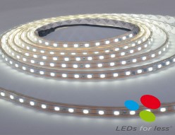 TA-50x84-10W-30, 5MTS TIRA LED 10W/M, 84x5050, 277V, 3000°K, IP65, ATENUABLE, CORTE CADA 50CM